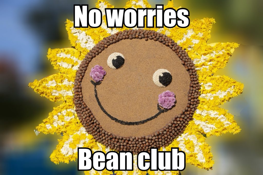 No Worries Bean Club Flower